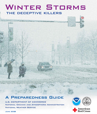 Winter Storm Preparedness Guide