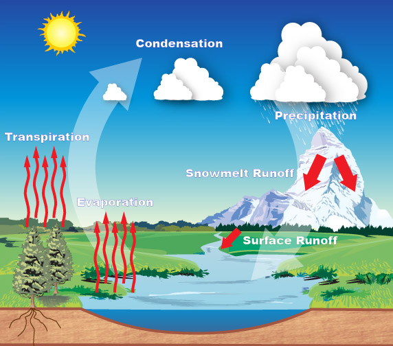 hydrological processes