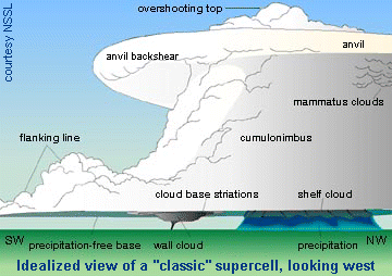 shelf cloud structure
