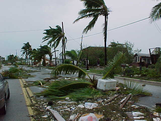 Hurricane Damage